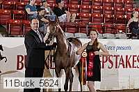 11buck_5624 proof