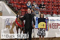 11buck_5626 proof