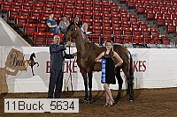 11buck_5634 proof