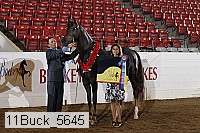 11buck_5645 proof