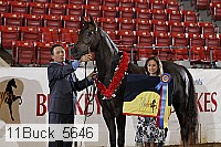 11buck_5646 proof