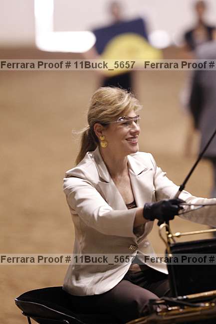 Proof 11buck_5657