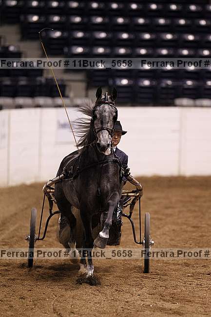 Proof 11buck_5658