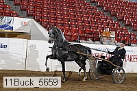 11buck_5659 proof