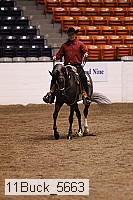 11buck_5663 proof
