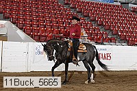 11buck_5665 proof