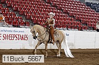 11buck_5667 proof