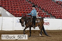 11buck_5671 proof