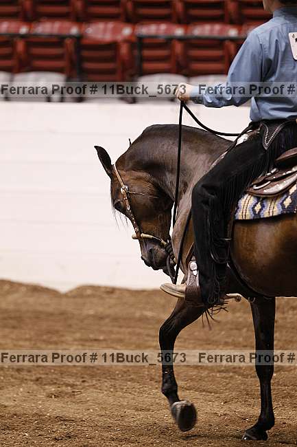 Proof 11buck_5673