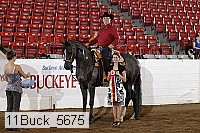 11buck_5675 proof