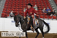 11buck_5676 proof