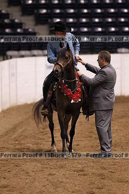 Proof 11buck_5679