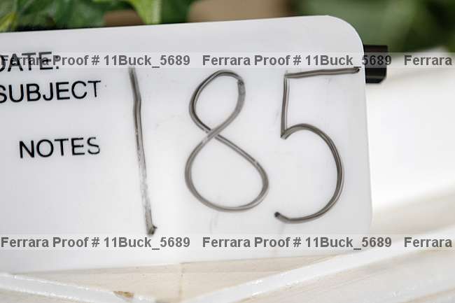Proof 11buck_5689