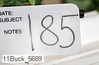 11buck_5689 proof