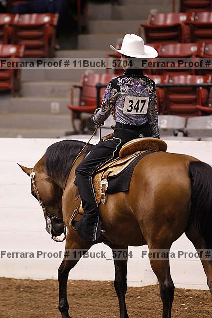 Proof 11buck_5704