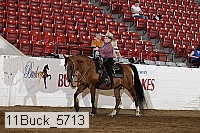 11buck_5713 proof