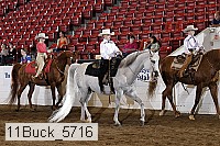 11buck_5716 proof