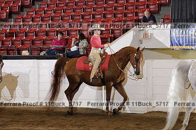 Proof 11buck_5717