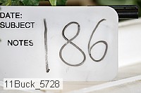 11buck_5728 proof
