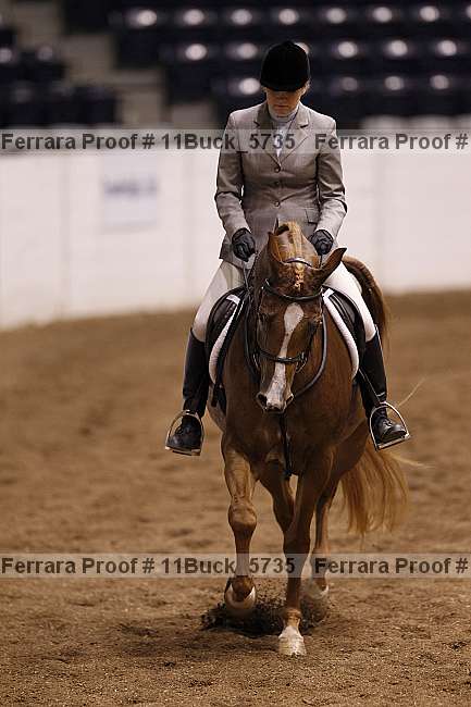 Proof 11buck_5735