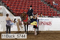 11buck_5744 proof