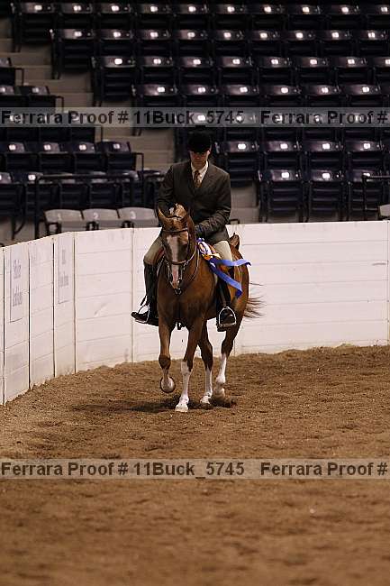 Proof 11buck_5745