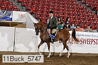 11buck_5747 proof