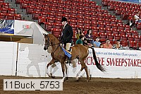 11buck_5753 proof