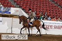 11buck_5755 proof