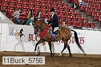 11buck_5756 proof
