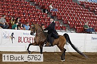 11buck_5762 proof