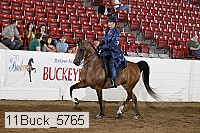 11buck_5765 proof