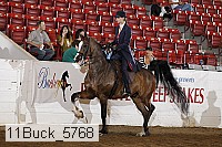 11buck_5768 proof