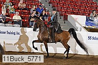 11buck_5771 proof