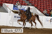 11buck_5773 proof