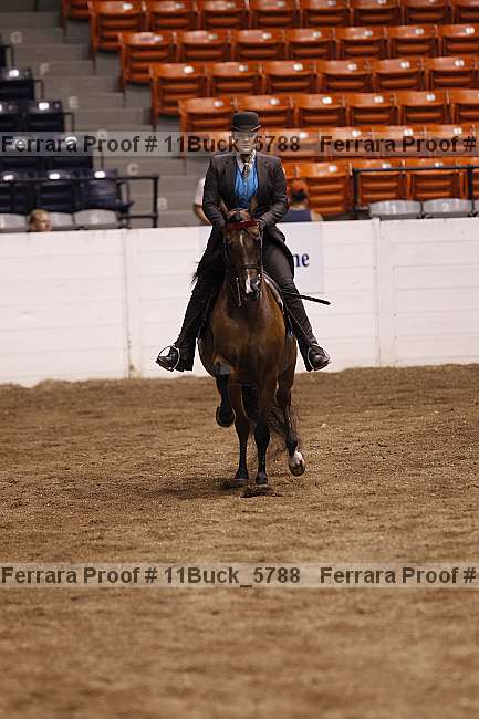 Proof 11buck_5788