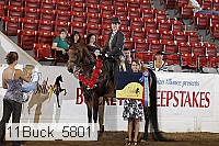 11buck_5801 proof