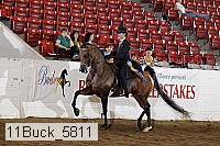 11buck_5811 proof