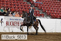 11buck_5813 proof