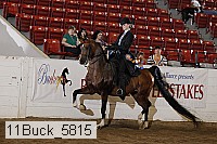 11buck_5815 proof