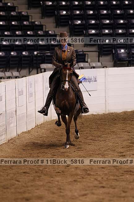 Proof 11buck_5816