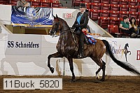 11buck_5820 proof