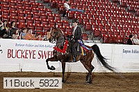 11buck_5822 proof