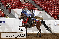 11buck_5823 proof