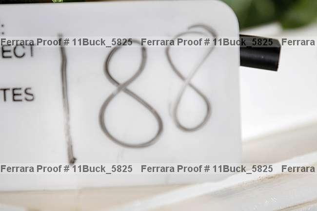 Proof 11buck_5825