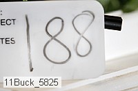 11buck_5825 proof