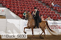 11buck_5830 proof
