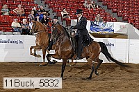 11buck_5832 proof