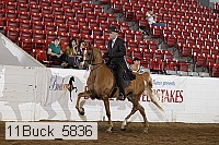 11buck_5836 proof