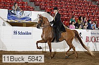11buck_5842 proof